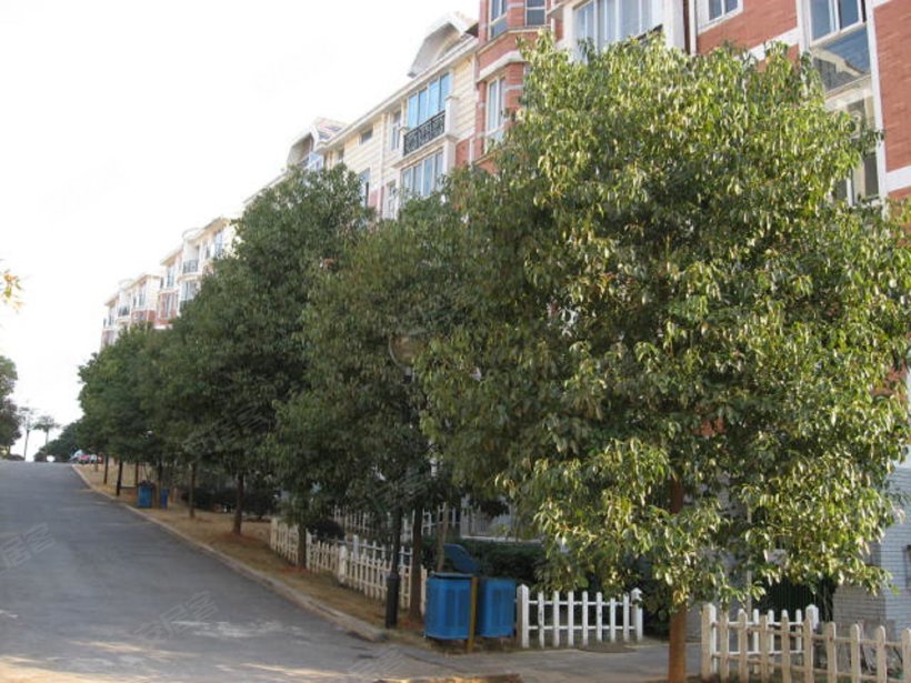 820x615.jpg