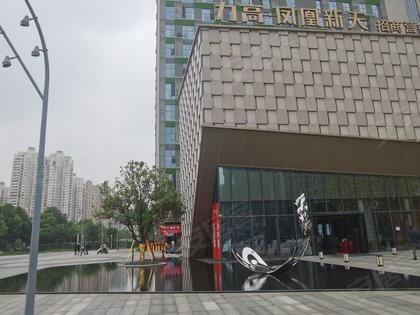 力高凤凰新天