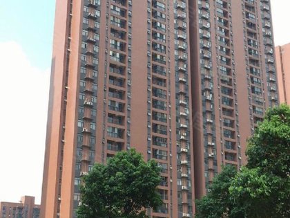 芷岸龙庭