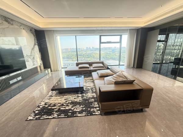 龙湖光年(商住楼)_南北通透_拎包入住_豪华装修