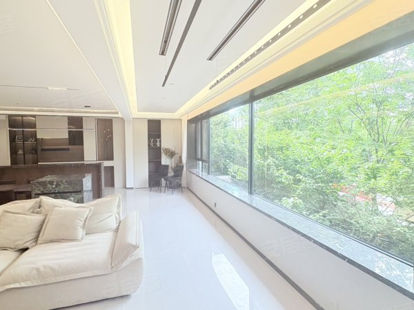 上新滨湖200平横厅大平层落地窗网红楼开窗见绿住接待直播