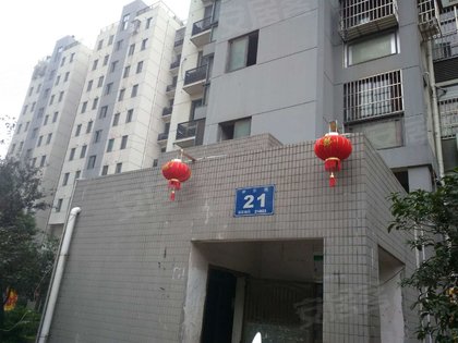 新乐人口碑_豪雅新乐学