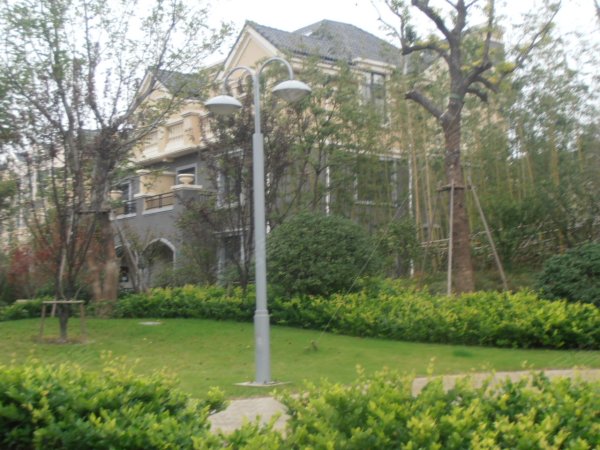 莫斯科人均绿地面积_人均集中绿地面积(2)