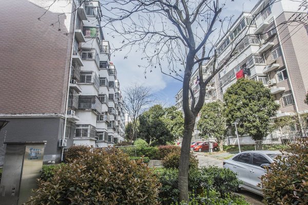 蜀山区一户室66.20平米正南3层