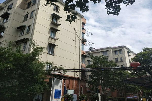 真光新村人口_恶狼游戏新村洸图片