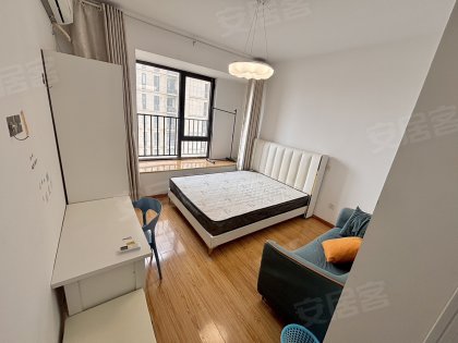 安大南门！三联学院！绿海商务学院！世贸翡翠_主卧_近地铁