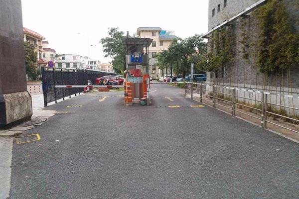东平人口碑(2)