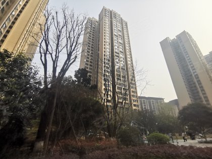 中洲锦城湖岸
