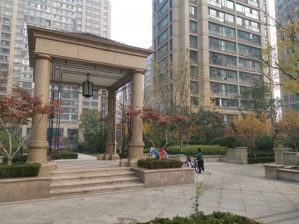 商河人口碑_商河老豆腐