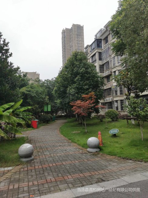 天泽园小区 简单装修三房 中间楼层 周边设施齐全 生活非常好