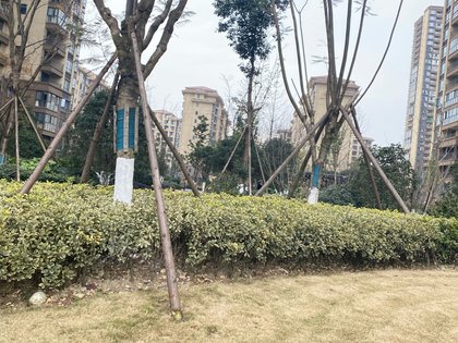 昌建星悦城