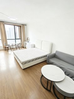 瑶海区四户室以上29.61平米正南9层