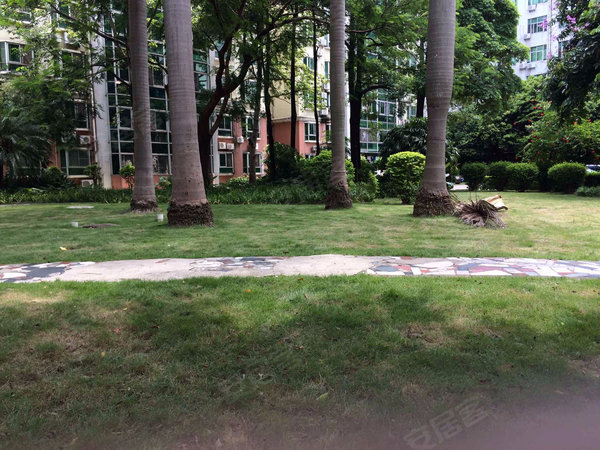 【多图】新龙岗花园,龙岗中心城租房,龙城站近新龙岗花园~精装品牌