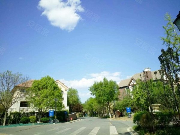 北京顺义南彩蓝岸丽舍英式独栋 全新装修 带家具家电 看房方便出租