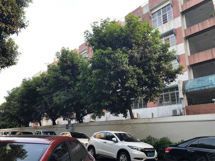 广州小区 海珠小区 南洲小区 南洲花苑