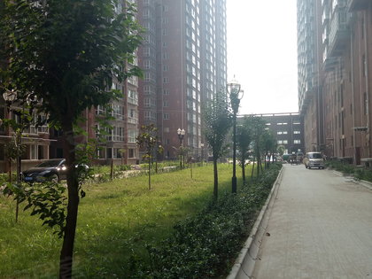 安诚御花苑董事长图片_安诚御花苑(2)
