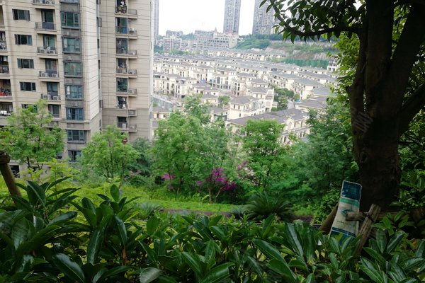 600x400c.jpg?t=1