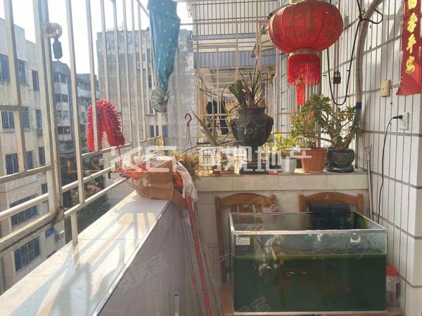 福州安居客>福州租房>鼓楼租房>铜盘路租房>永恒新村>永恒新村租房>