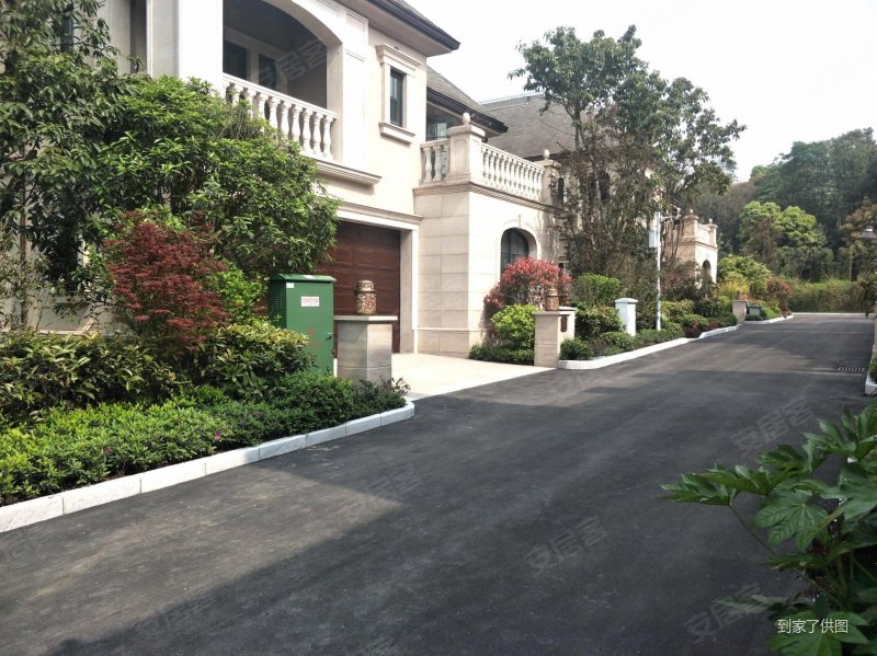 两江蔡家 碧桂园长桥江山,江景独栋 高尔夫联排别墅,带花园