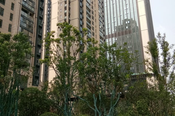 崇仁县城区有多少人口(3)