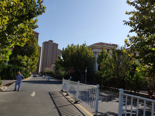 天津津南津南八里台碧桂园凤锦庭院碧桂园两室出租 随时看房 拎包入住