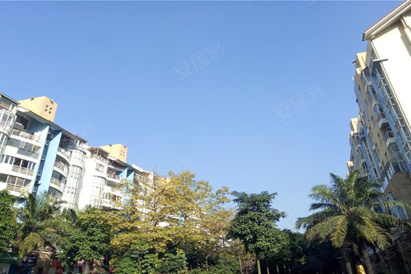 桃源居人口_深圳搜房源网(3)