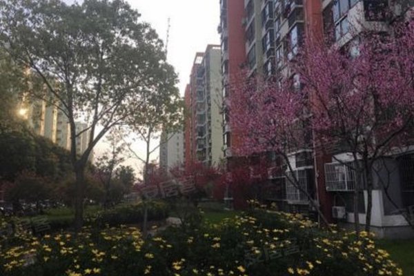 万源市有多少人口_四川万源市青花镇图片