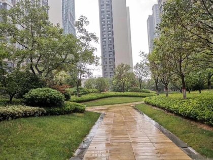 绿都澜湾枫园