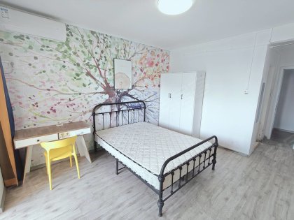 丁怡花园，独卫带阳台，洪岗地铁口，一付一押，大唐国际购物广场