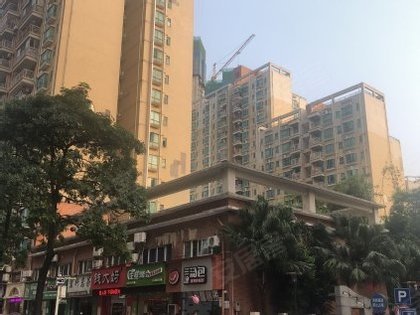 丽沙花都