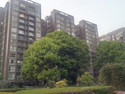 香樟俊园1期