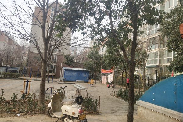 河南漯河人口碑怎么样_河南漯河图片