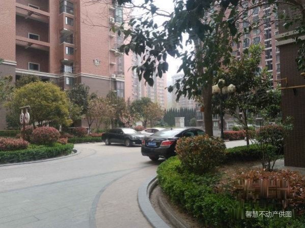 【多图】时尚loft精装一室一厅 朝南带阳台 看房