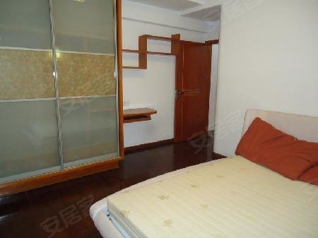 高三体育生,想了解靠体育考上普通本科,在大学