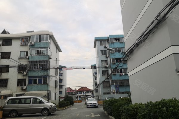 东泾村人口_漕泾镇水库村照片