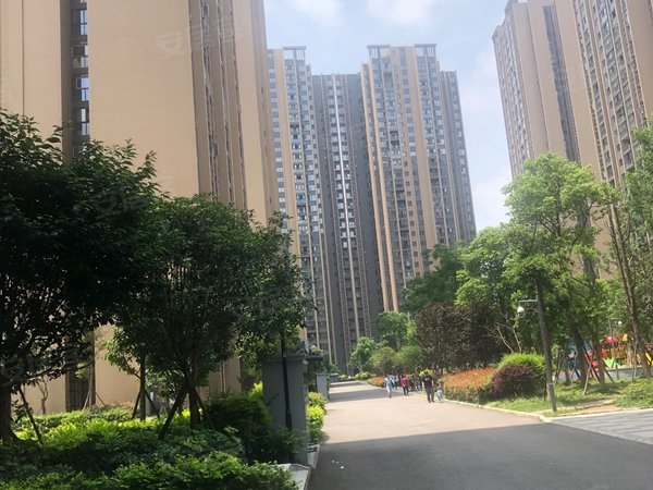成都天府新区西博城保水逸苑b区天府新区兴隆湖旁天府机场天府科学城