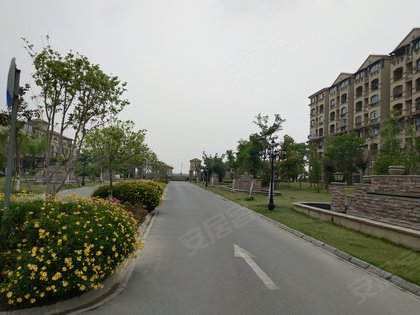 奉贤人口碑_奉贤新城最新规划图(3)