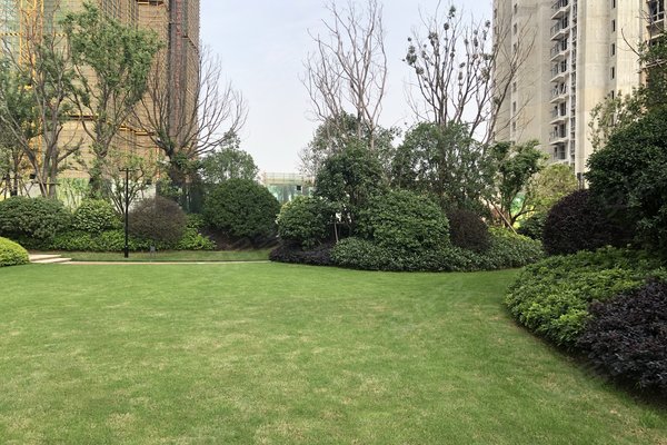 左岭社区人口_社区人口普查照片