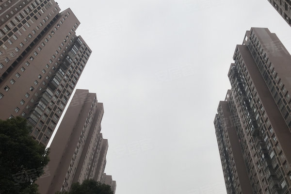 南阳人流郦人口碑好_南阳人韩来江