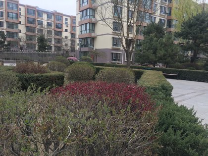 海城人口多_霞海城隍庙月老图片(3)