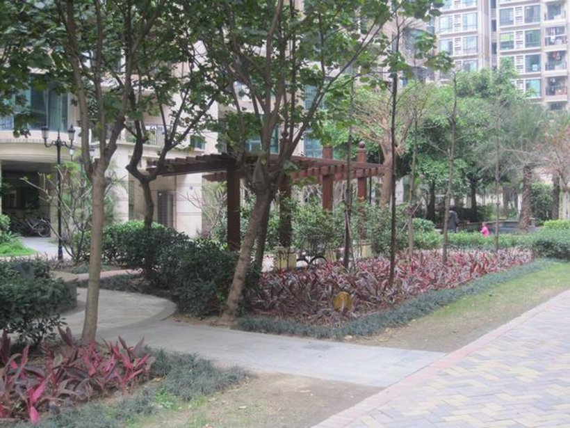 广州 罗马家园小区照片