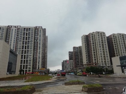 左岭社区人口_社区人口普查照片(3)