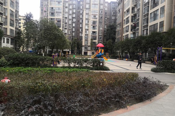 成都较贵的小区