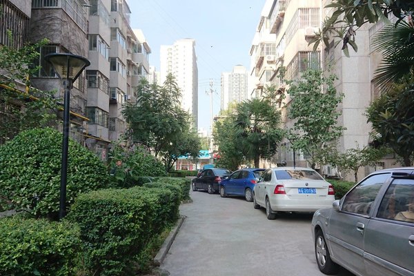 居业家园老总_美丽的家园绘画(3)