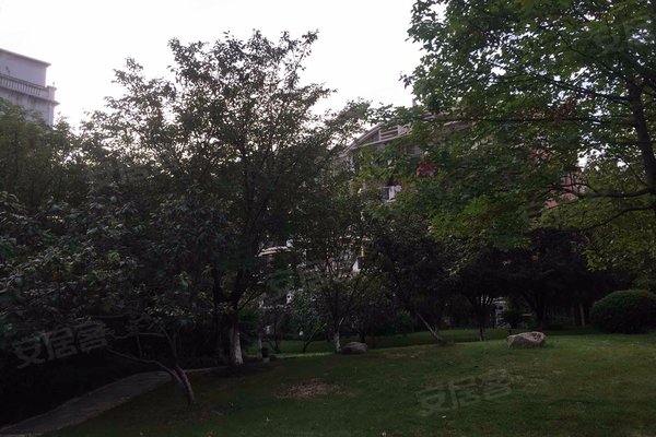 600x400c.jpg?t=1