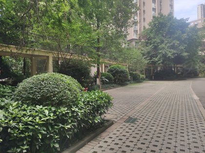 合能四季映像