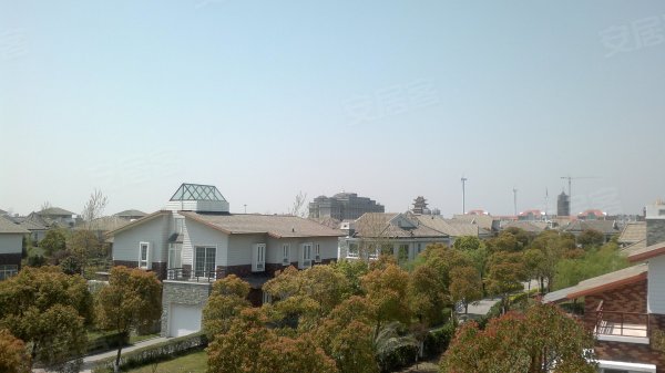 棕榈滩别墅_棕榈滩别墅销售收入