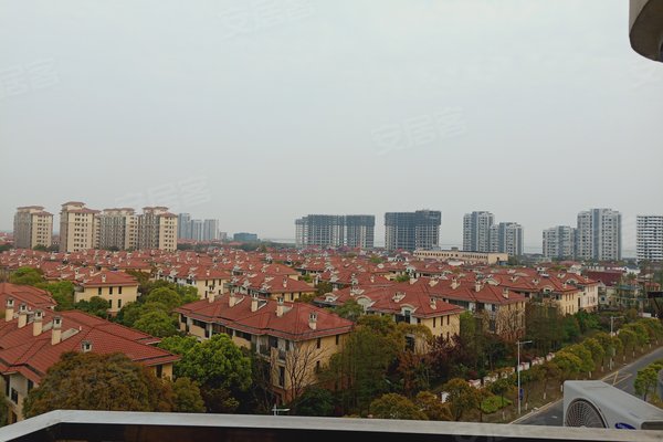 奉贤人口碑_奉贤新城最新规划图(3)