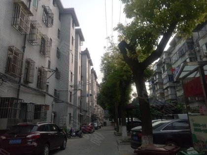 罗南人口_西尔莎·罗南(2)