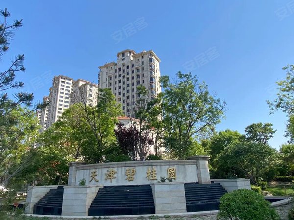 天津津南津南八里台碧桂园凤锦庭院碧桂园两室出租 随时看房 拎包入住